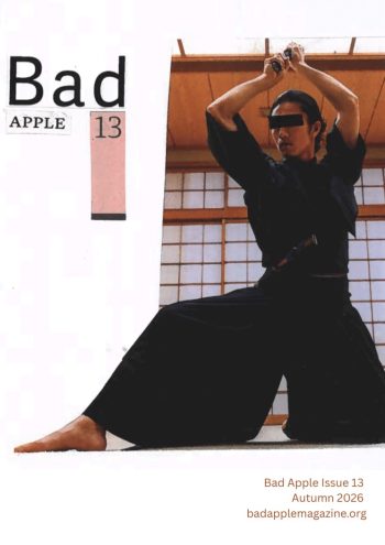 Issue 13 cover